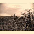 Weinbergblick auf die Albrechtsburg Meissen