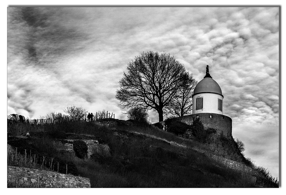 ... Weinbergblick ...