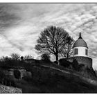 ... Weinbergblick ...