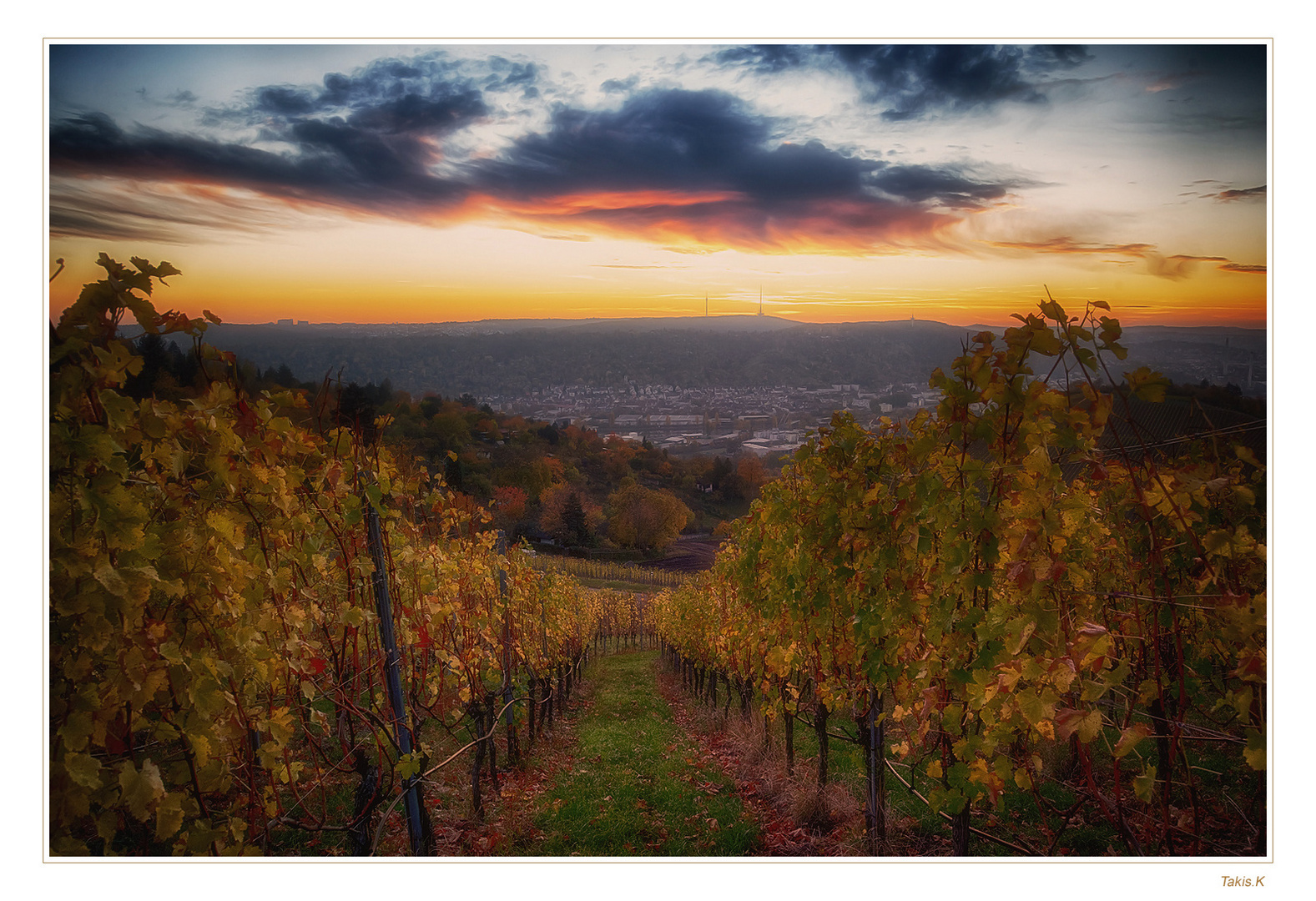 Weinberge