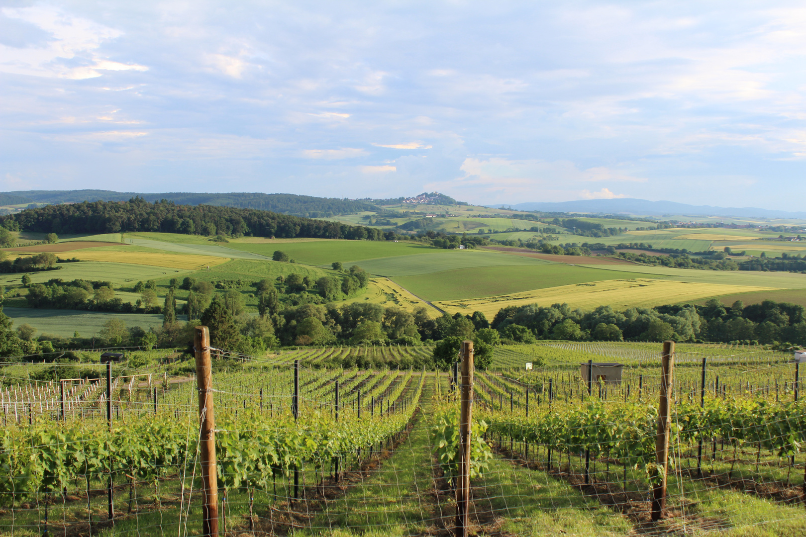 Weinberge 