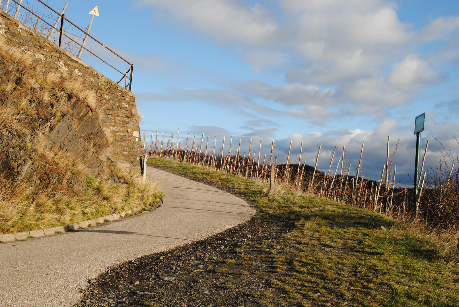 Weinberge