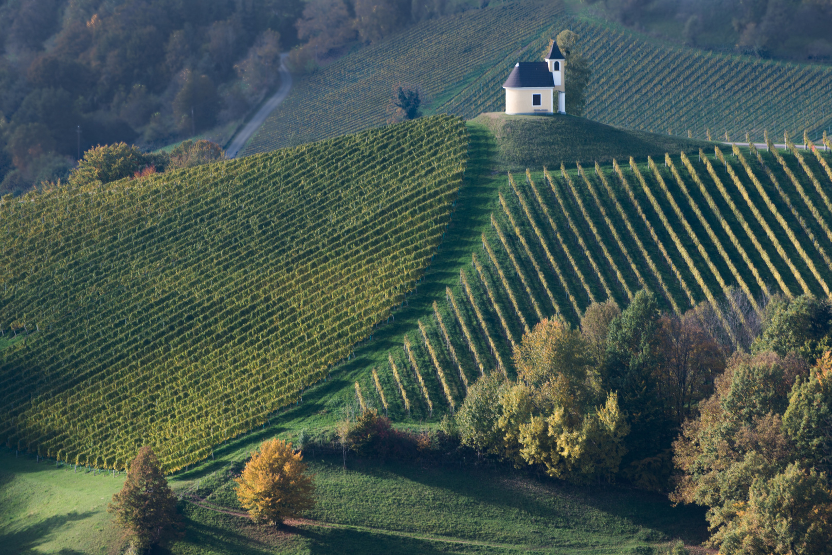 Weinberge