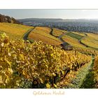 Weinberge