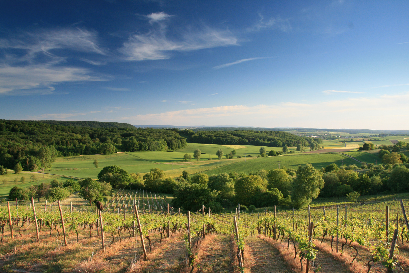 Weinberge