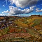 Weinberge