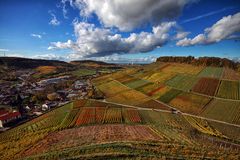 Weinberge