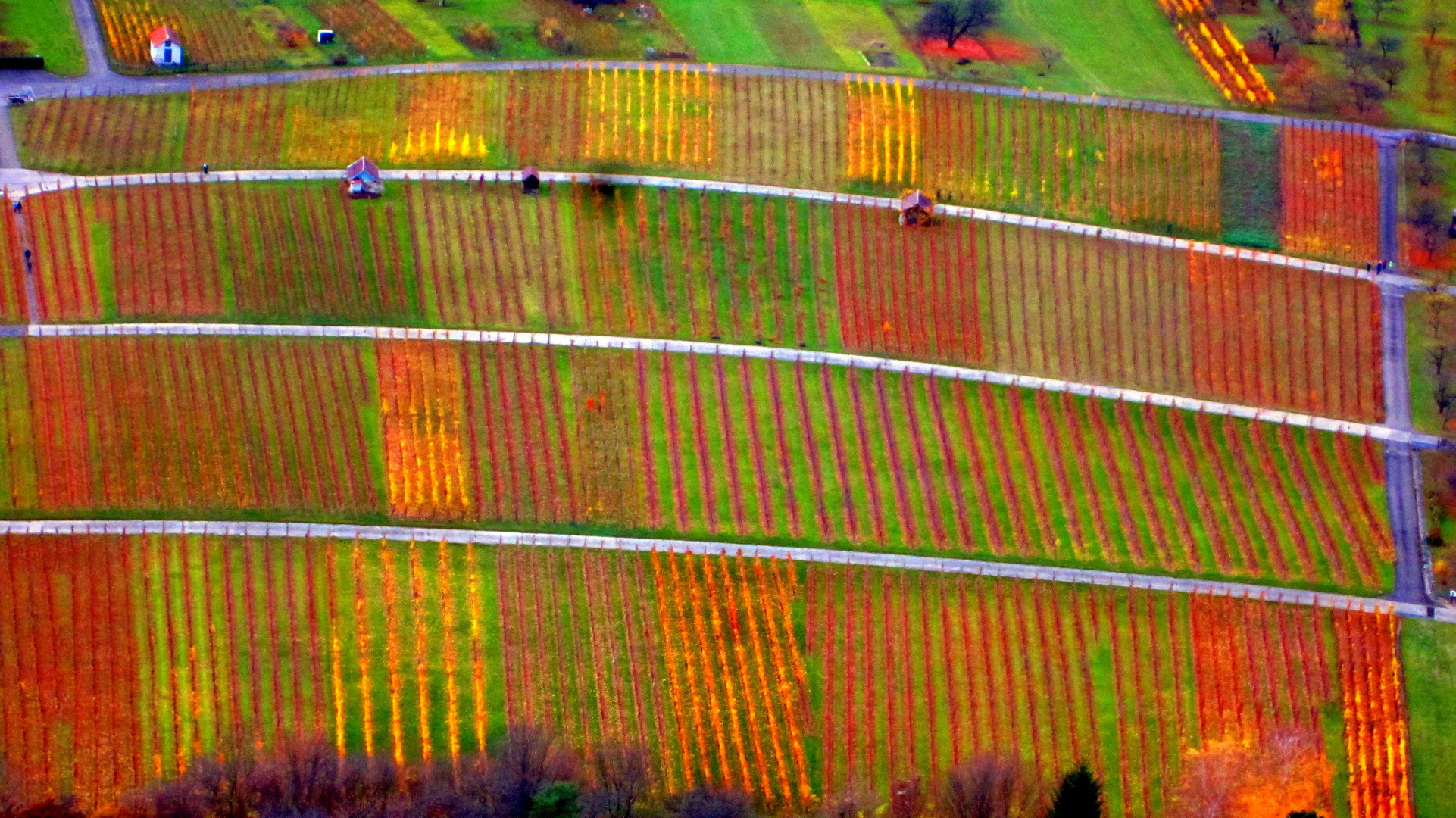 Weinberge