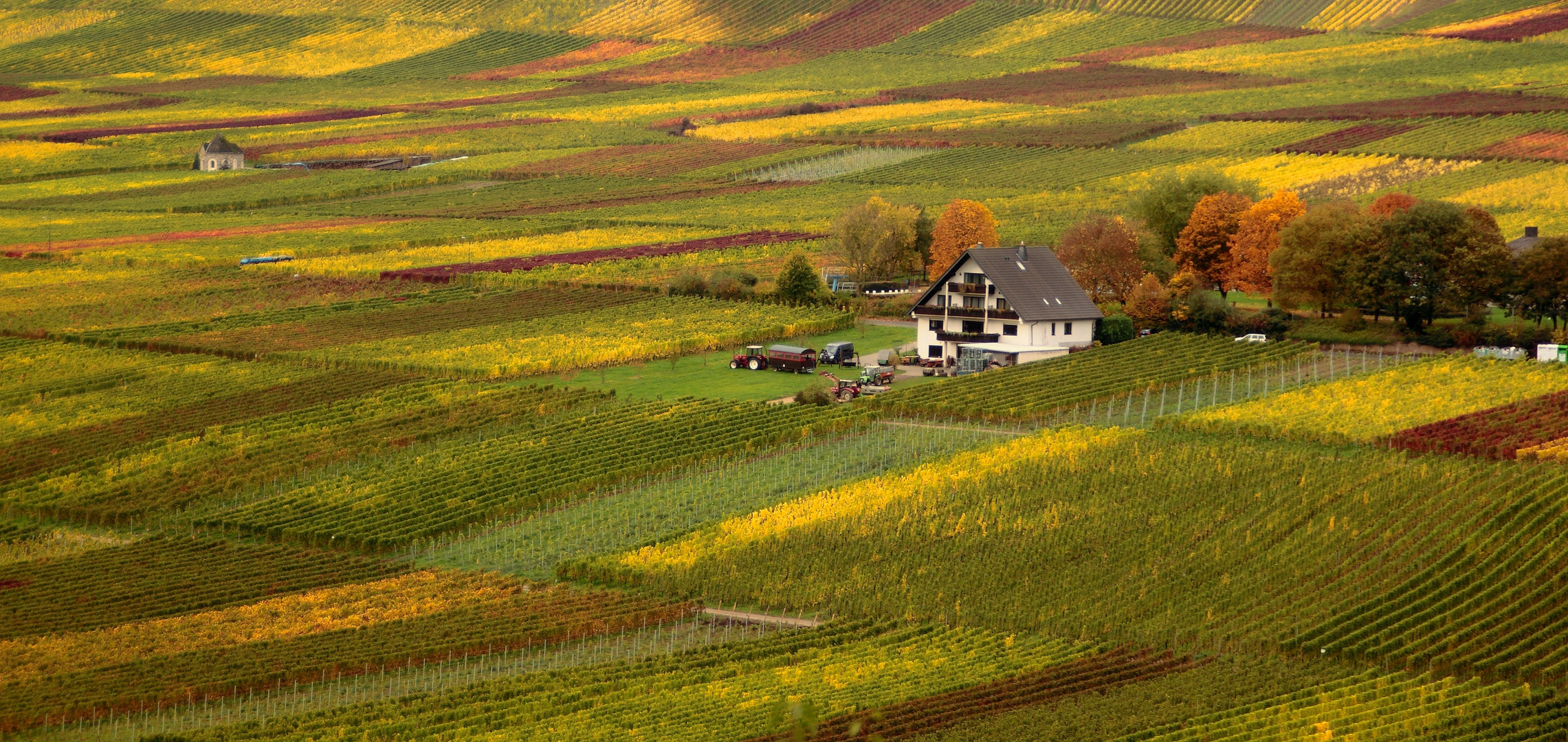 Weinberge