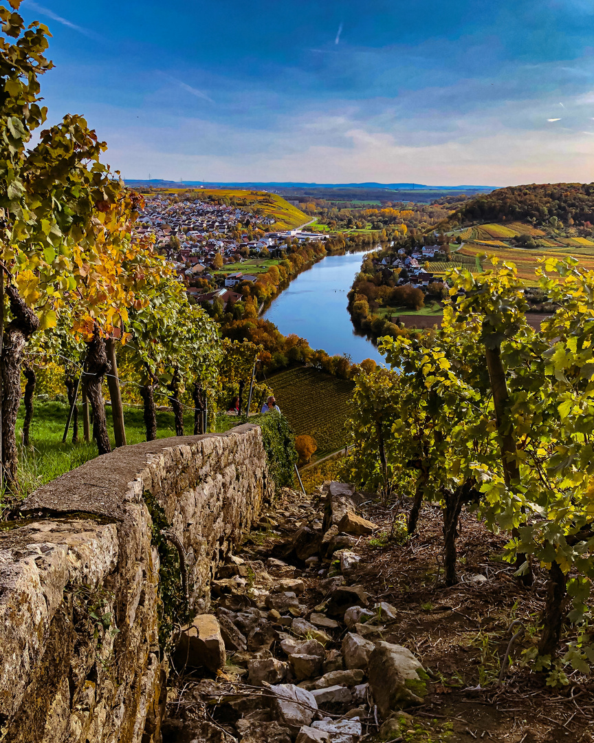 Weinberge am Hang 