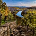 Weinberge am Hang 