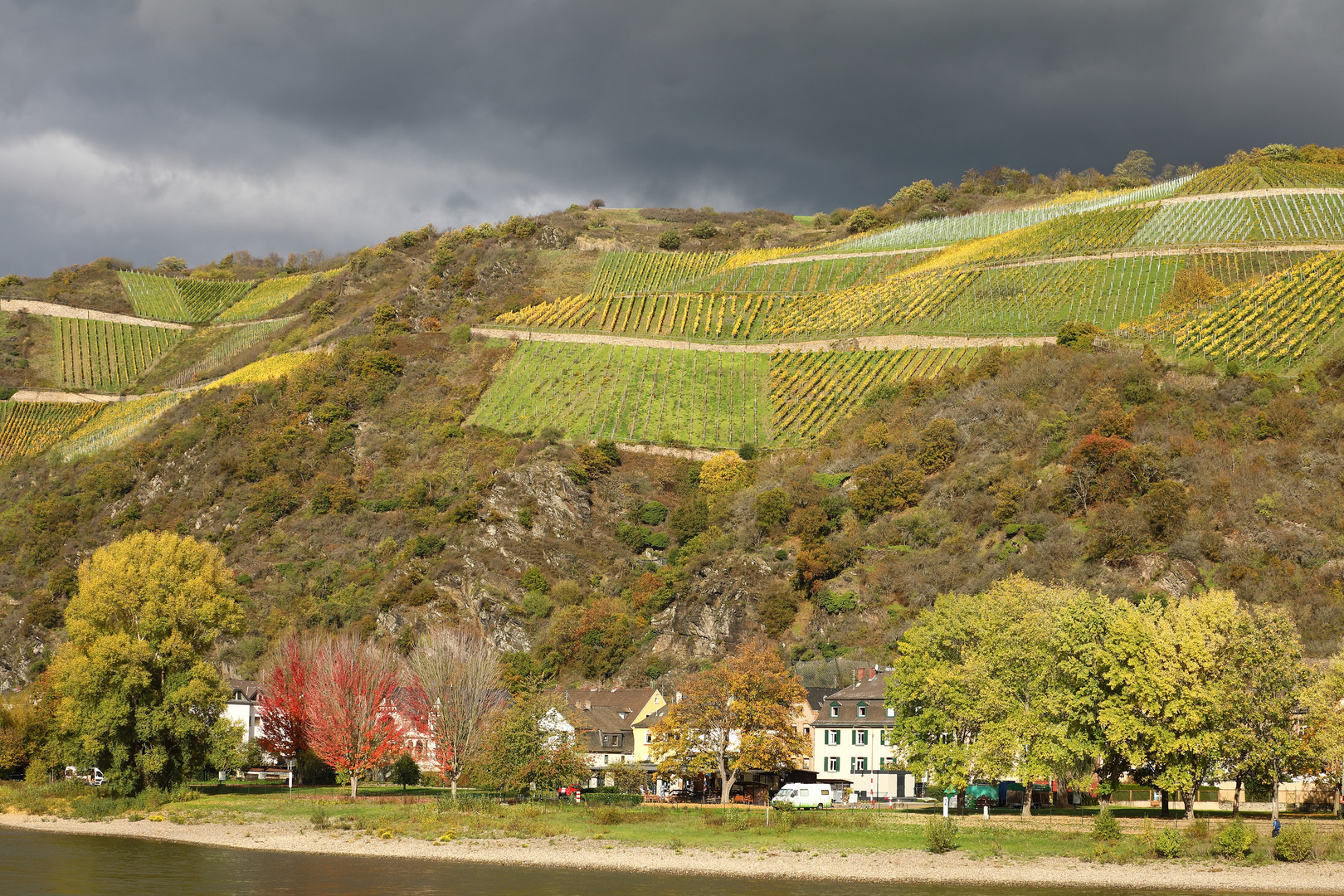 Weinberge am Mittelrhein