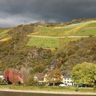 Weinberge am Mittelrhein