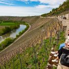 Weinberge am Neckar