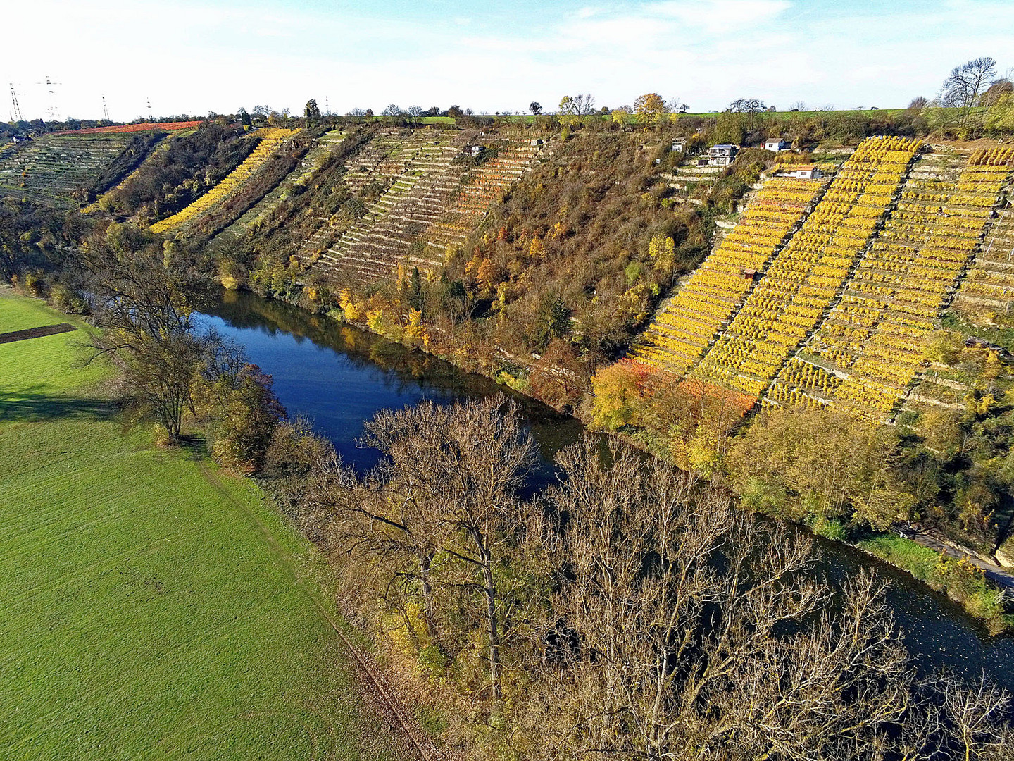 Weinberge am Neckar 