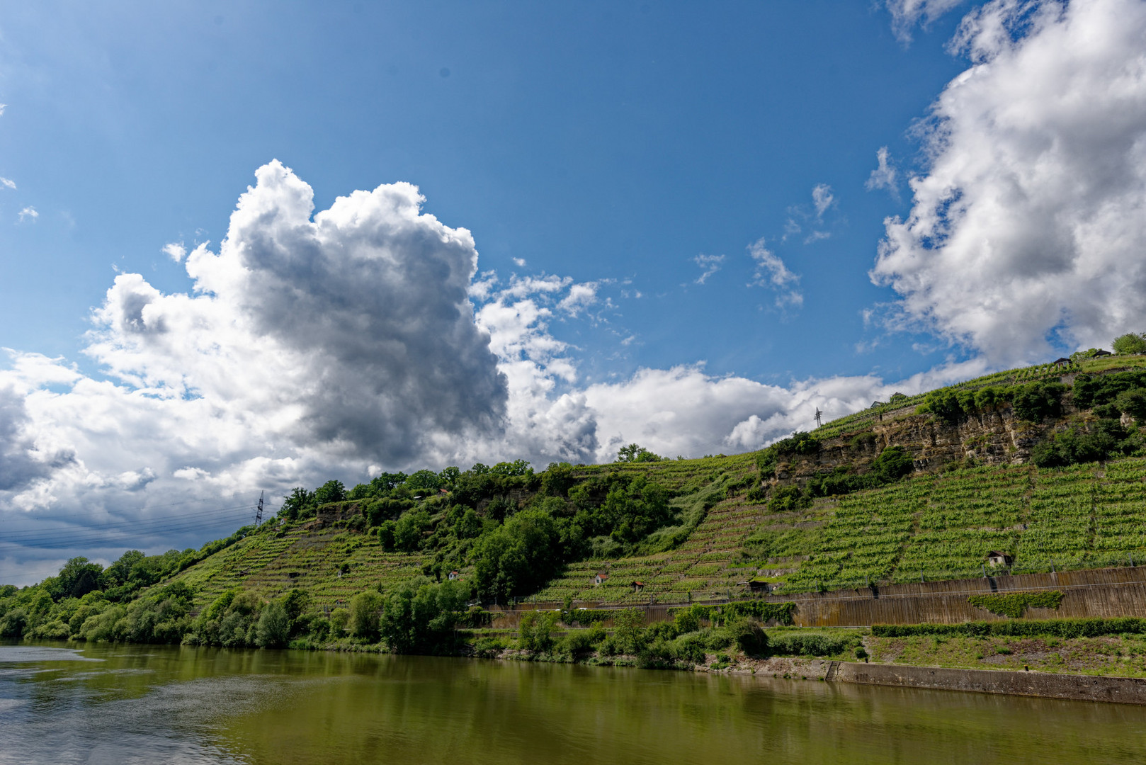 Weinberge am Neckar