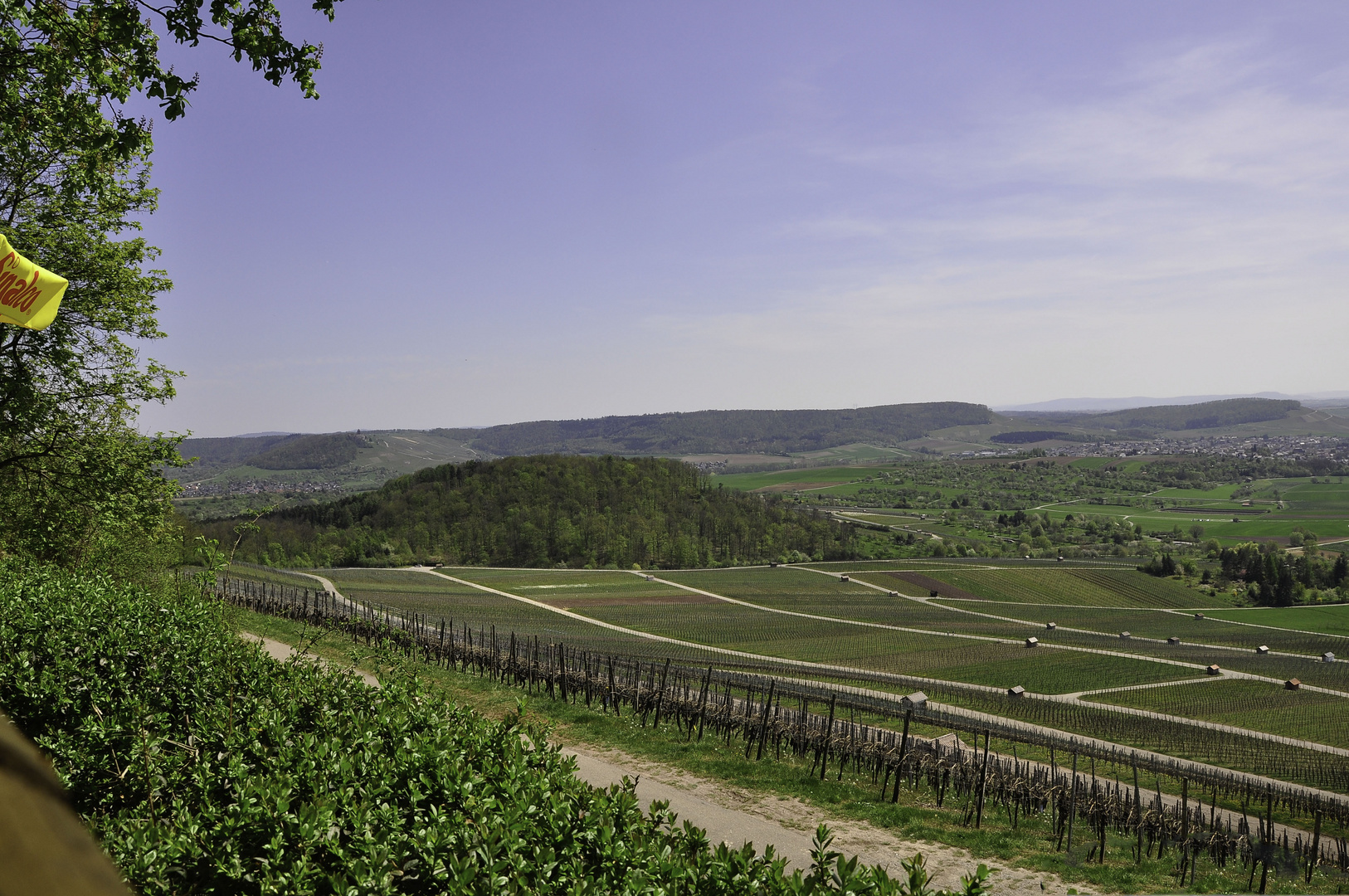 Weinberge am Wunnenstein