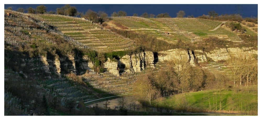 Weinberge an den Enzschleifen ...