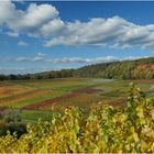 Weinberge an der Ahr