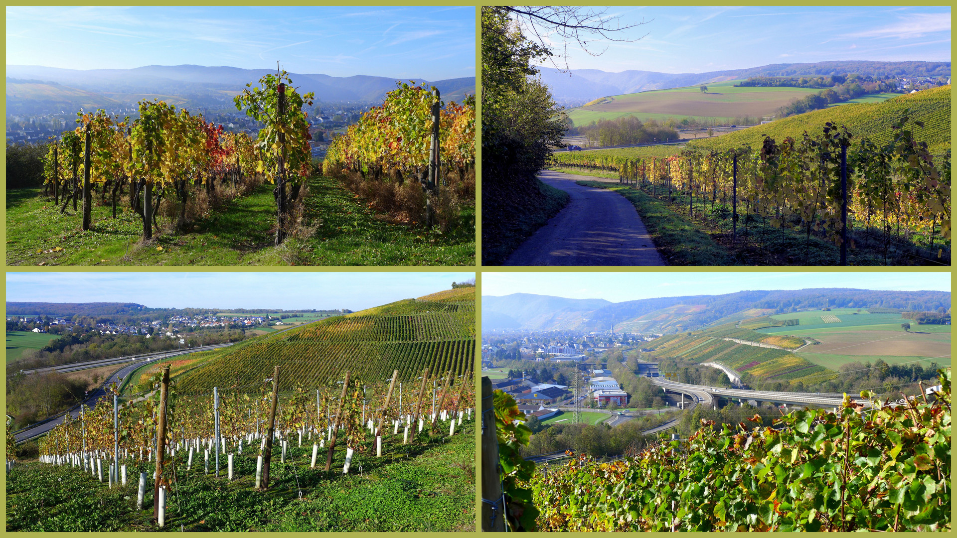 Weinberge an der Ahr 1