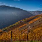 Weinberge an der Ahr