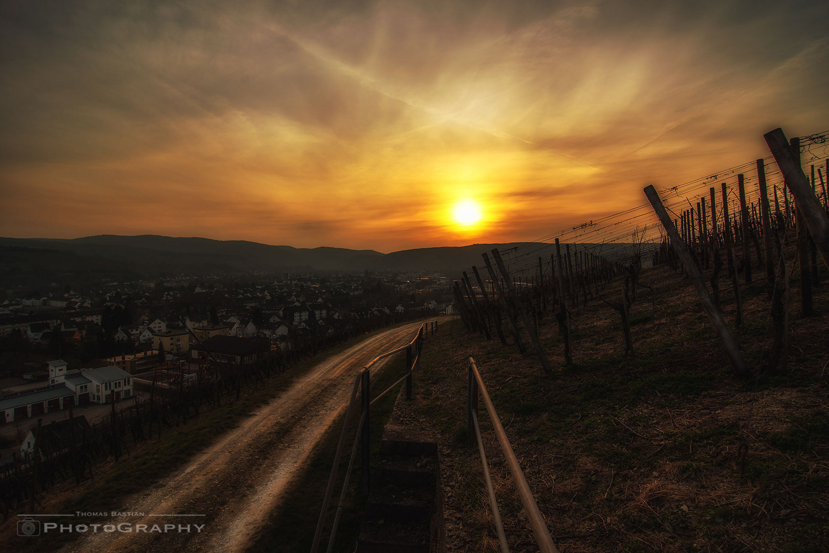 Weinberge an der Ahr