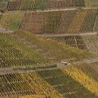 Weinberge an der Ahr im Herbst