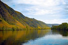 Weinberge an der Mosel.