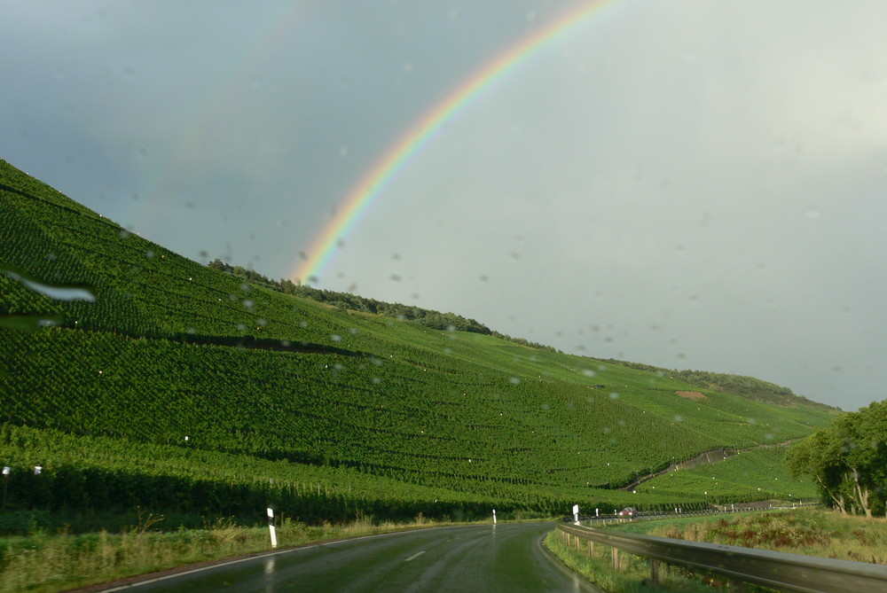 Weinberge an der Mosel