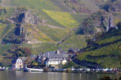 Weinberge an der Mosel