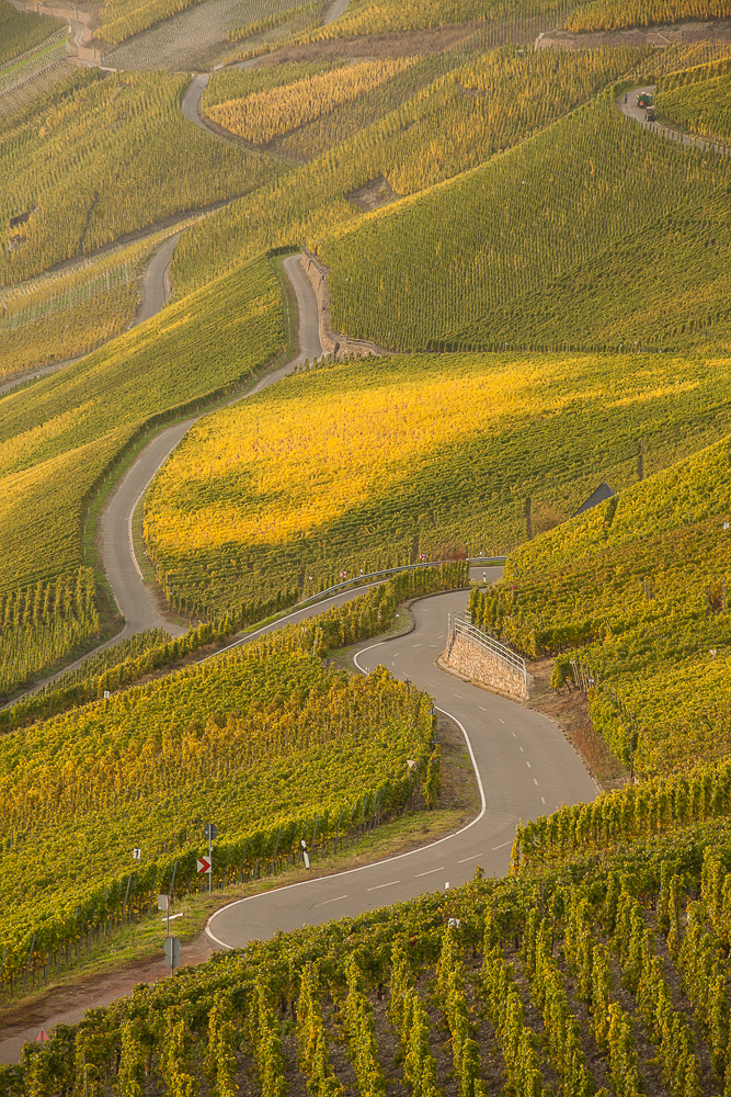 Weinberge an der Mosel