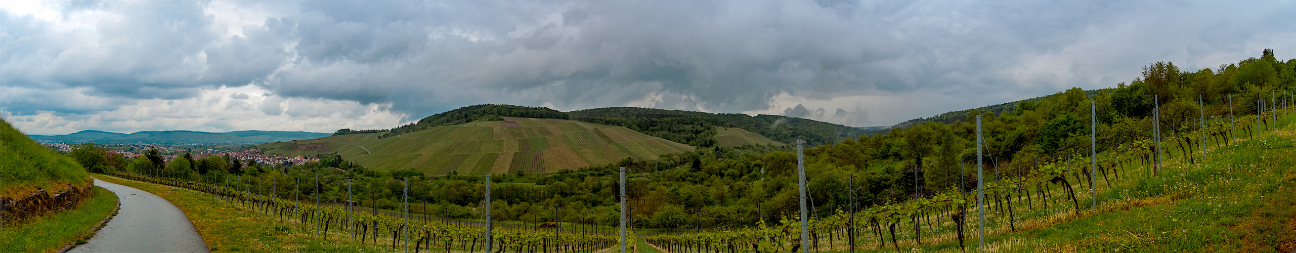 Weinberge aus dem Remstal