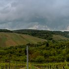 Weinberge aus dem Remstal