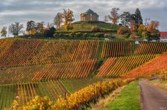 Weinberge