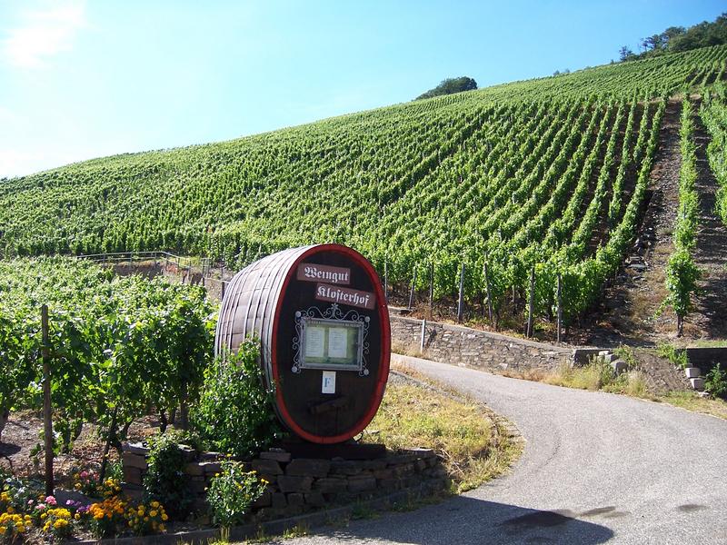 Weinberge bei Bad Neuenahr