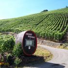 Weinberge bei Bad Neuenahr