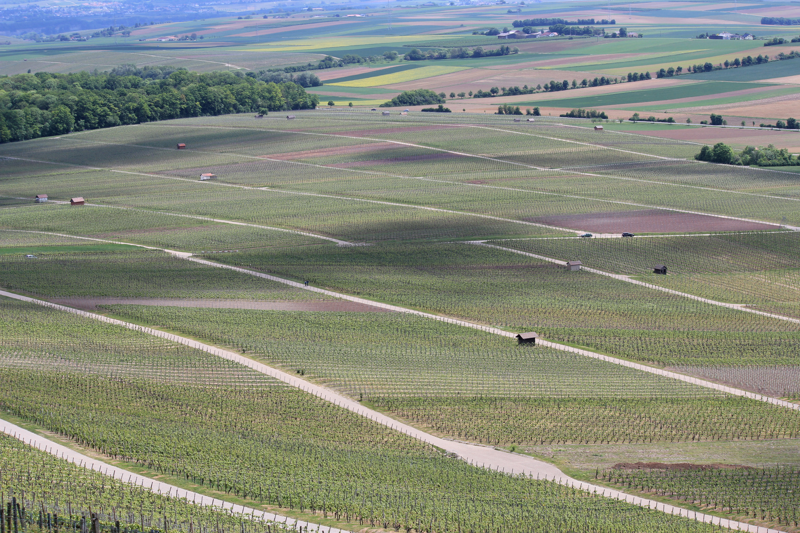 Weinberge bei Brackenheim