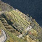 Weinberge bei Dernau