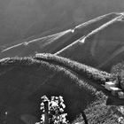 Weinberge bei Dernau