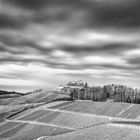 Weinberge bei Durbach 