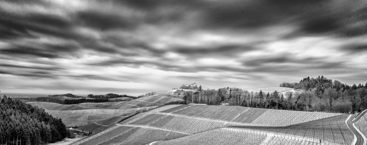 Weinberge bei Durbach 