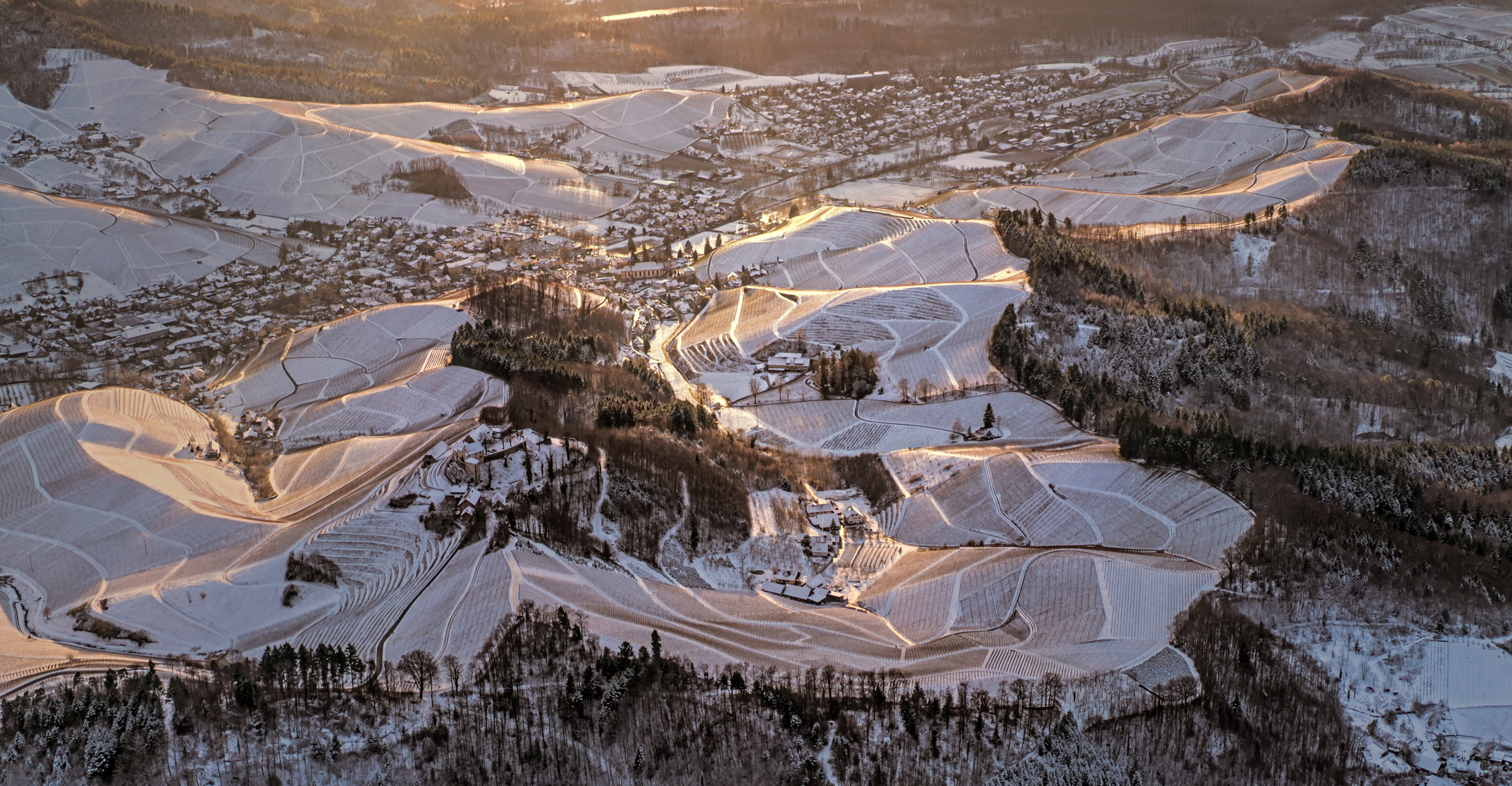 Weinberge Bei Durbach in der Ortenau 