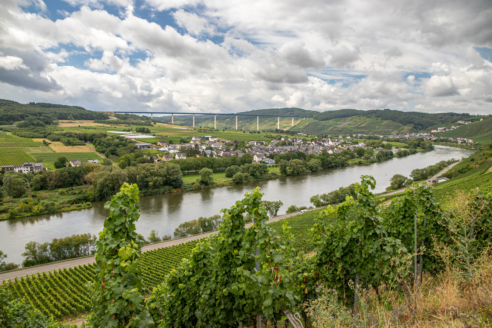 Weinberge bei Erden