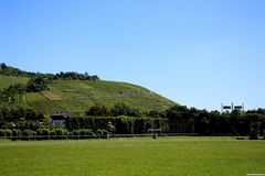 Weinberge bei Esslingen