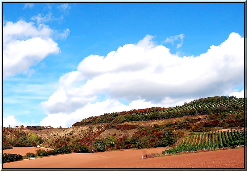 Weinberge bei Laucha