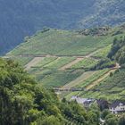 Weinberge bei Mayschoß