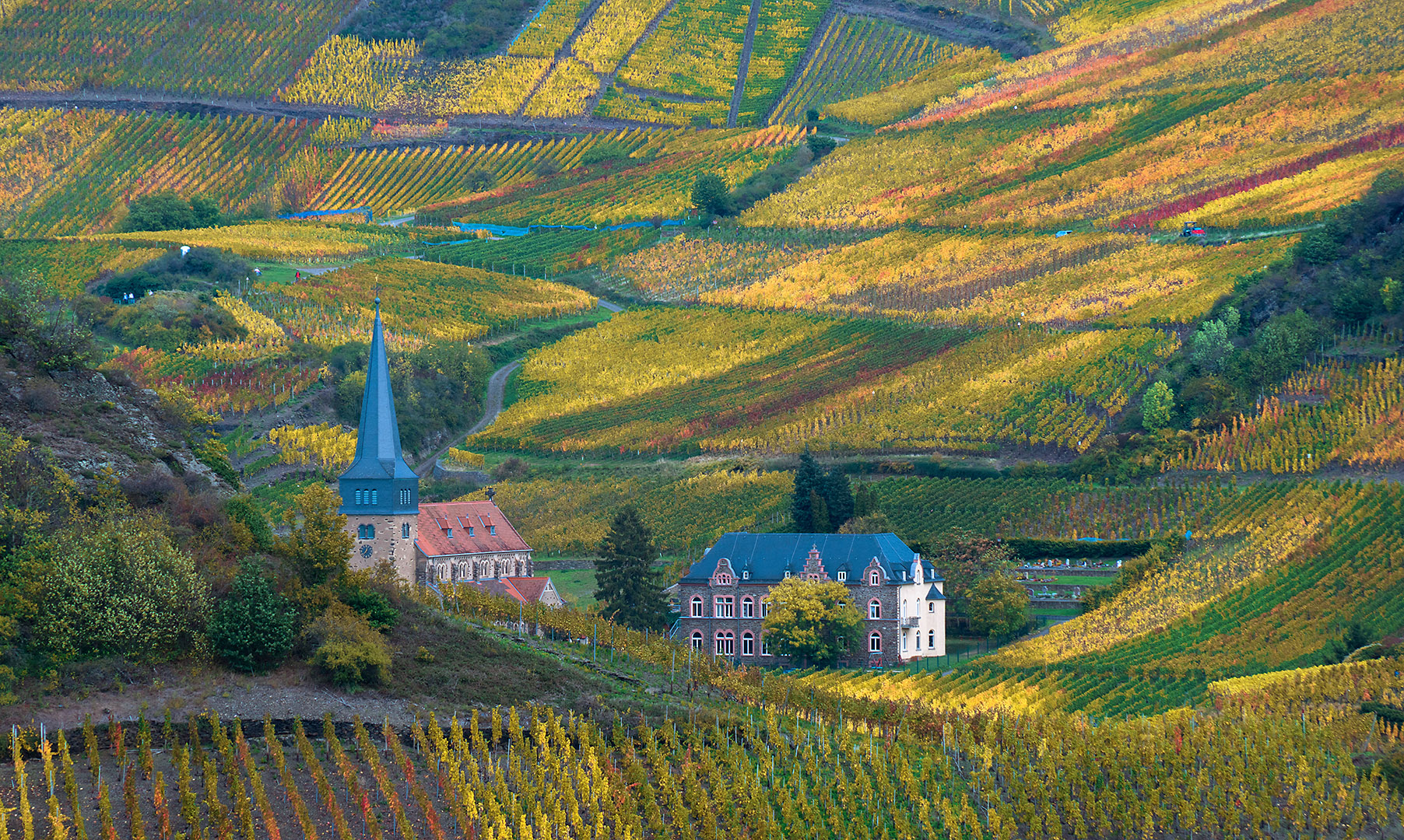 Weinberge bei Mayschoss