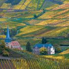 Weinberge bei Mayschoss