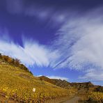 Weinberge bei Mayschoß