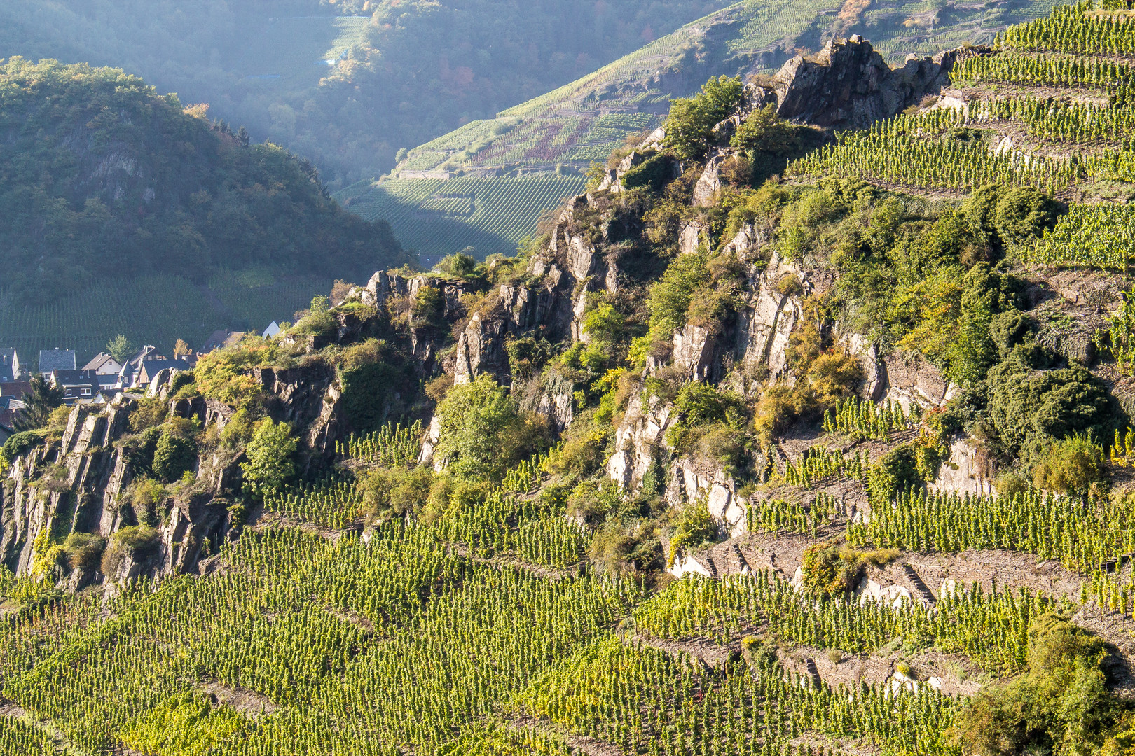 Weinberge bei Mayschoß II